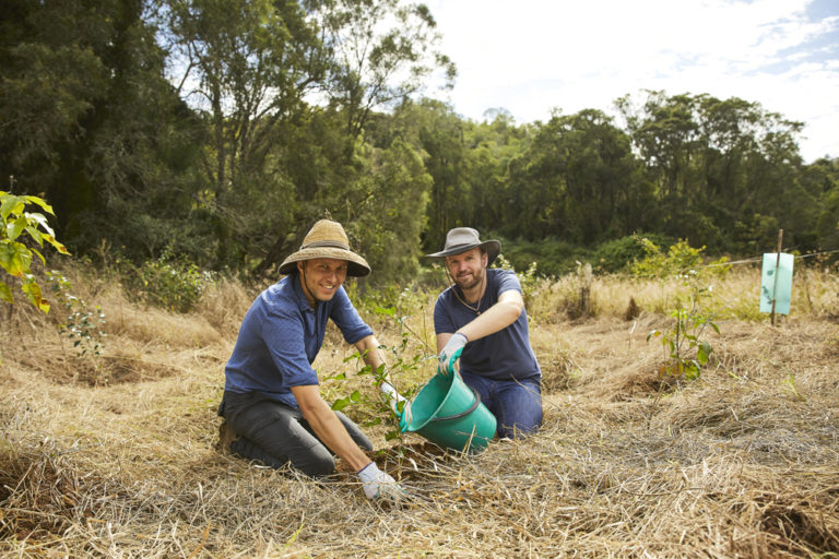 Get active in Ipswich’s natural environment to celebrate 25 years of ...